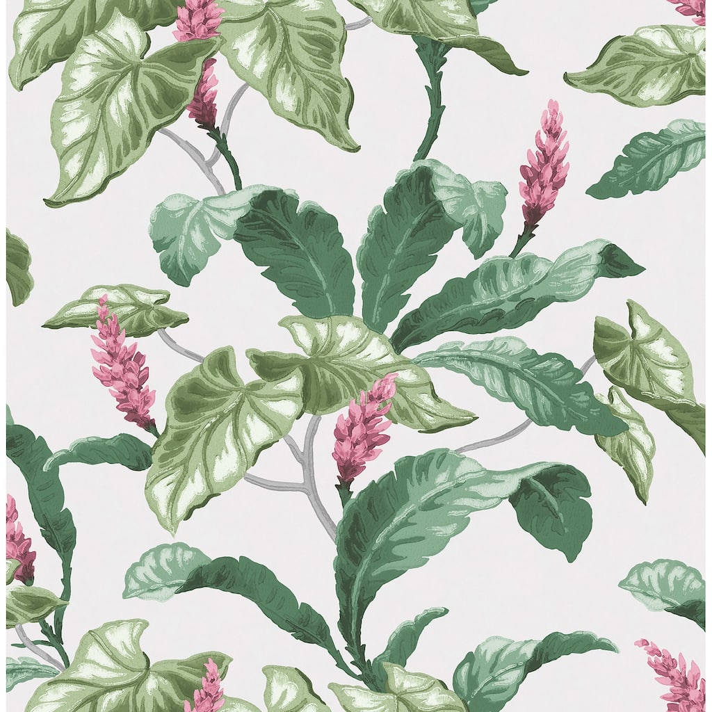 Brewster Meridian Parade Green Tropical Leaves Wallpaper