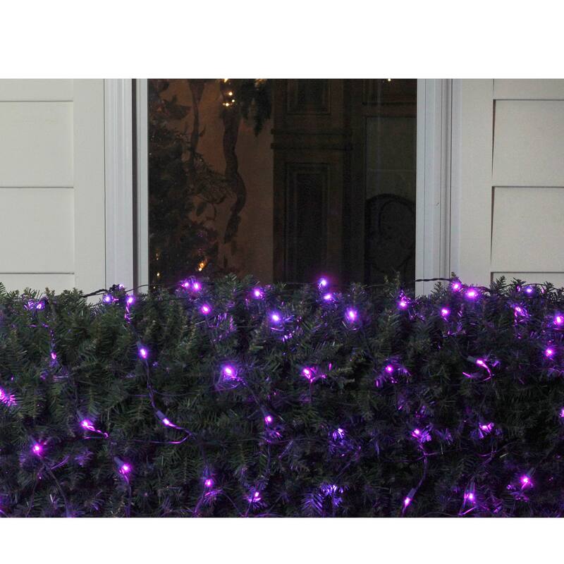 4' x 6' Purple LED Wide Angle Net Style Christmas Lights - Green Wire