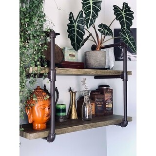 Danya B. Two-tier Industrial Pipe Wall Shelf