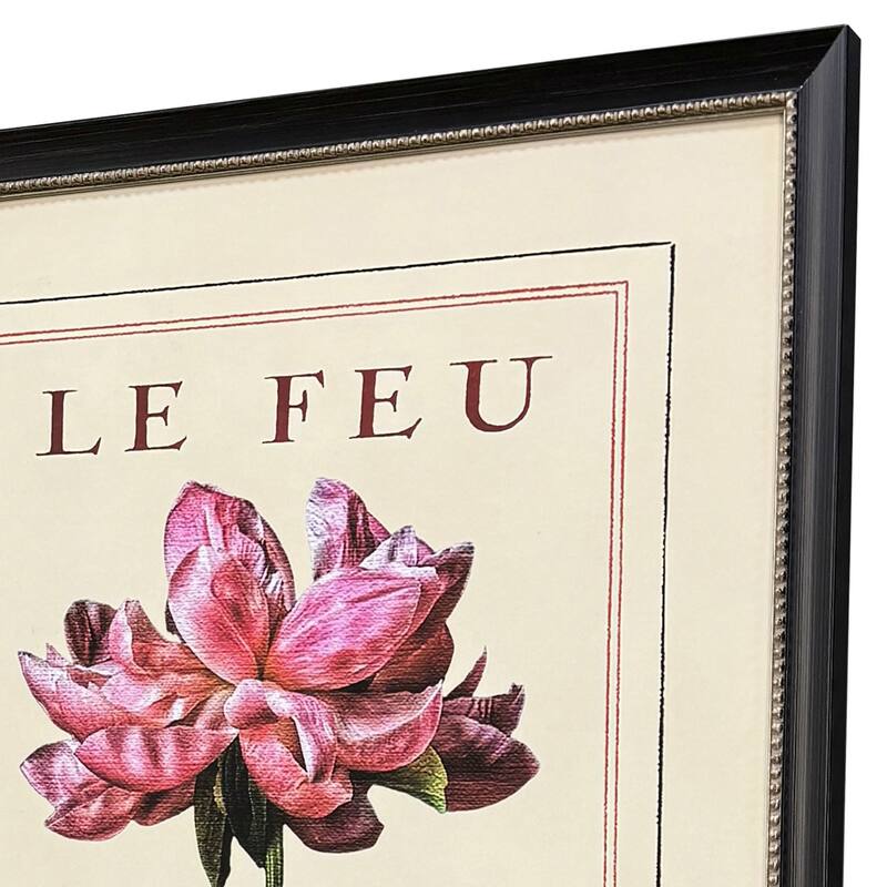 Paragon Le Fleur I Framed Art - Set of 2