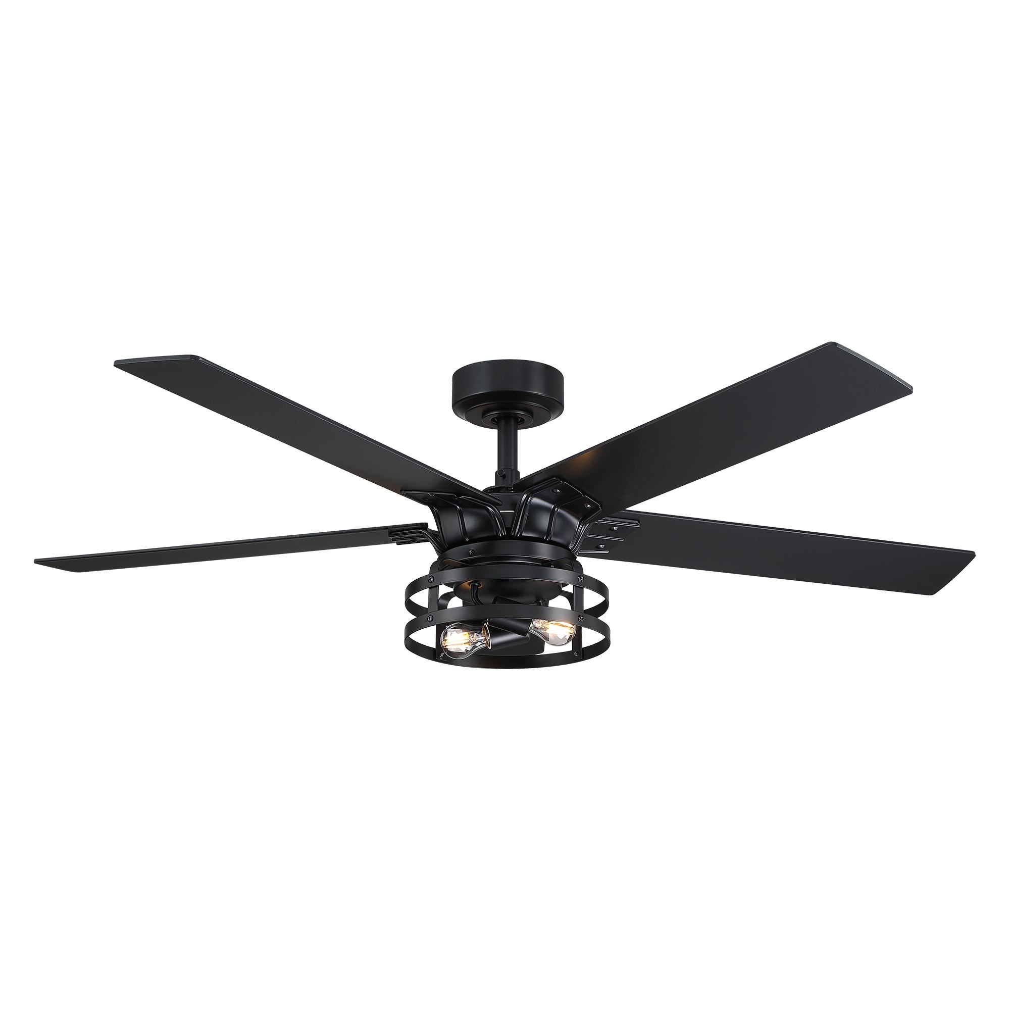 Ceiling Fans