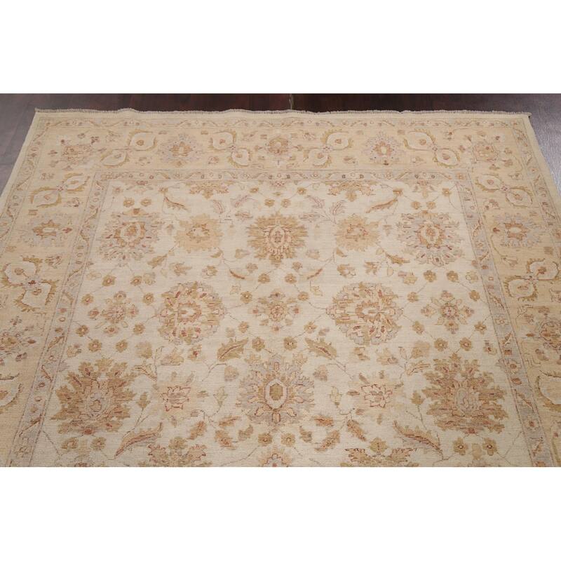 Vegetable Dye Chobi Peshawar Traditional Wool Area Rug Hand-knotted - 6'5" x 9'3"