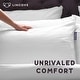 preview thumbnail 4 of 7, 100% Down Recreation Pillow - Ultimate Natural Softness - 600 Fill Power