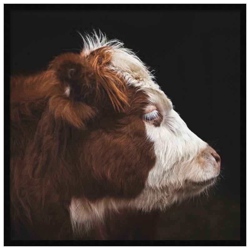 Kate and Laurel Cow Profile by Emiko and Mark Franzen F2 Images Framed Wall Art Print - 33 x 33 - Black