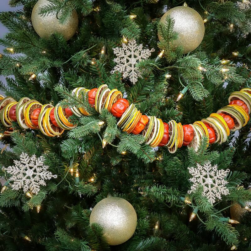 National Tree Company 4 ft. Dried Citrus & Tomato Garland - 4 ft