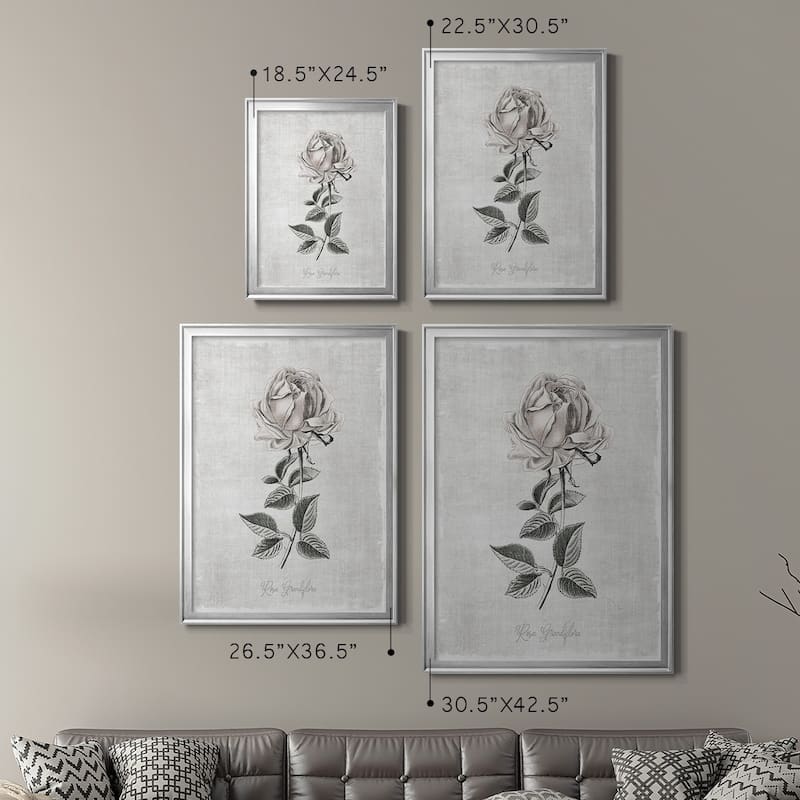 Vintage Botanical II Premium Framed Print - Ready to Hang