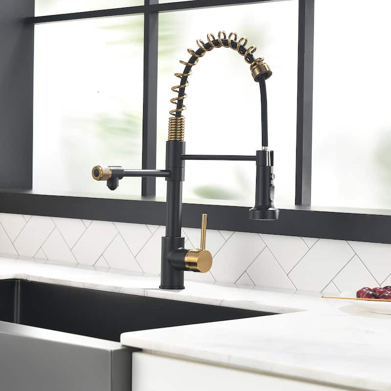 Modern Kitchen 2-Function Sink Faucet With Pull Down Sprayer - 8.8''W x 19.6''H