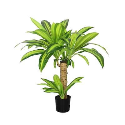 2.5ft Real Touch Artificial Dracaena Tree Plant in Black Pot - 30" H x 28" W x 24" DP