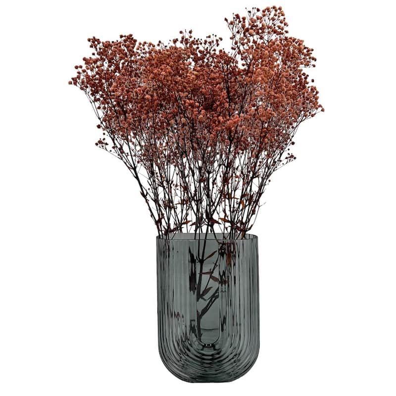 Bundle of 4 Preserved Gypsophila, Baby's Breath,24" long - 24 inch