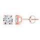 Option Rose