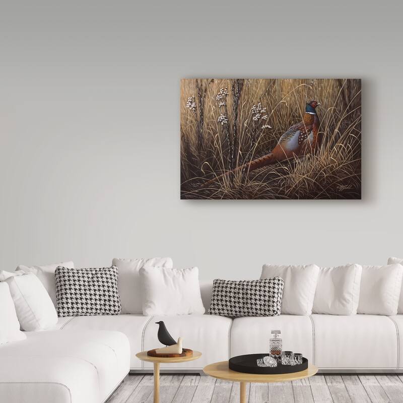Wilhelm Goebel 'Pheasant In The Grass' Canvas Art