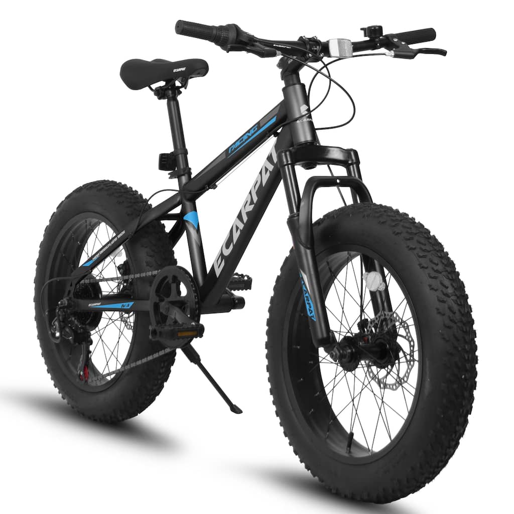 Adult/Youth Fat Tire Bike - Shimano Gears, Dual Disc Brakes, Front Suspension, Steel Frame, Commuter/Trail Use - 20