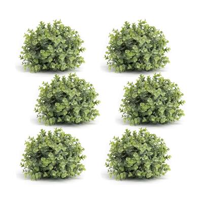 Boxwood Half Orb (Set of 6)