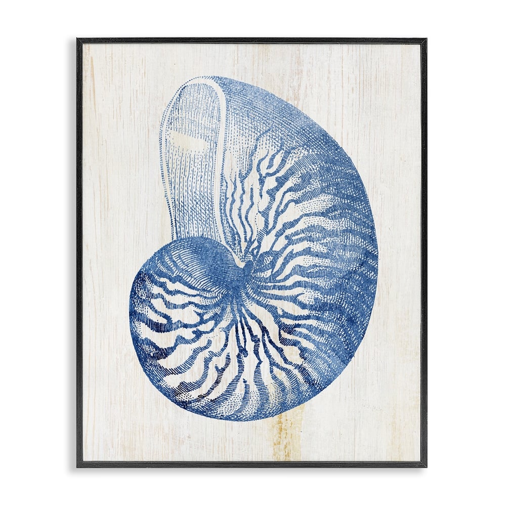 Stupell Blue Nautilus Shell Framed Giclee Art Design By Susan Arnot
