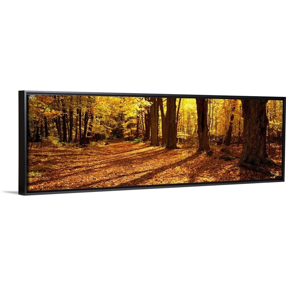 Shop Tree Lined Road Ma Black Float Frame Canvas Art Free