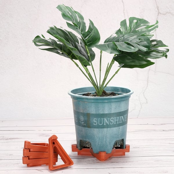 aloe vera plant pot 30