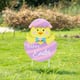 Option Chick