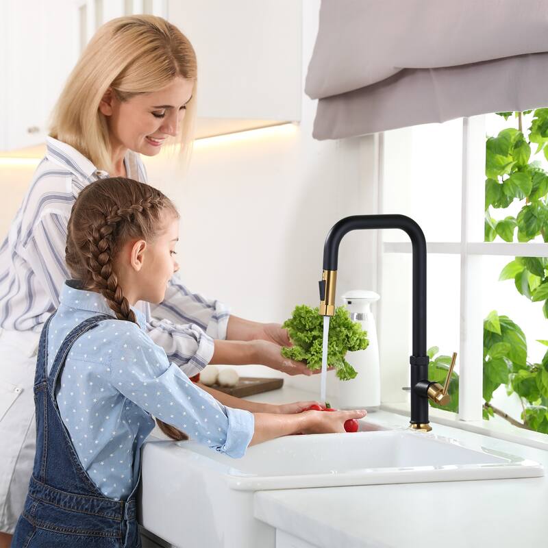 WOWOW Pull Down Sprayer Kitchen Faucet with Soap Dispenser