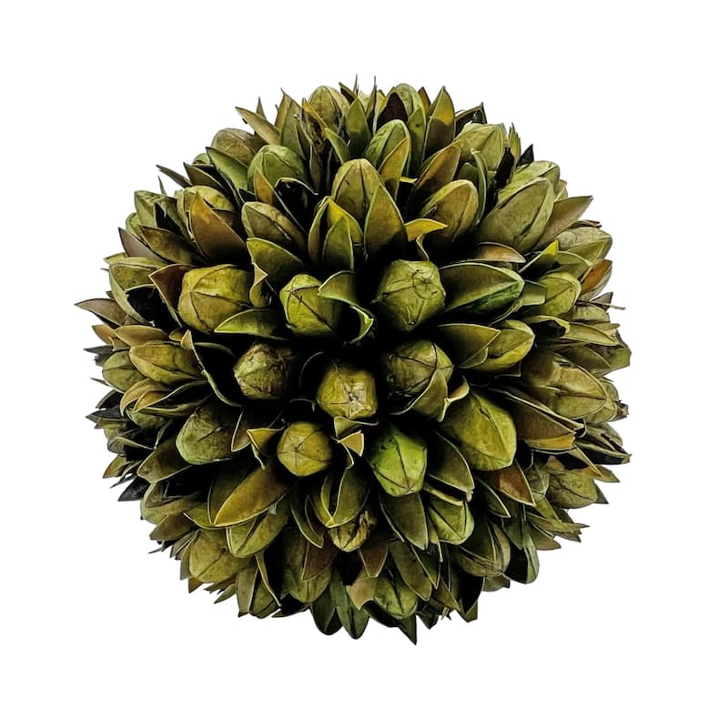 Real Preserved Decorative Pinecone and Magnolia Leaf Decorative Orbs Bowl Filler - Set of 3