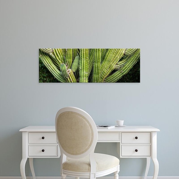Easy Art Prints Panoramic Images's 'Close