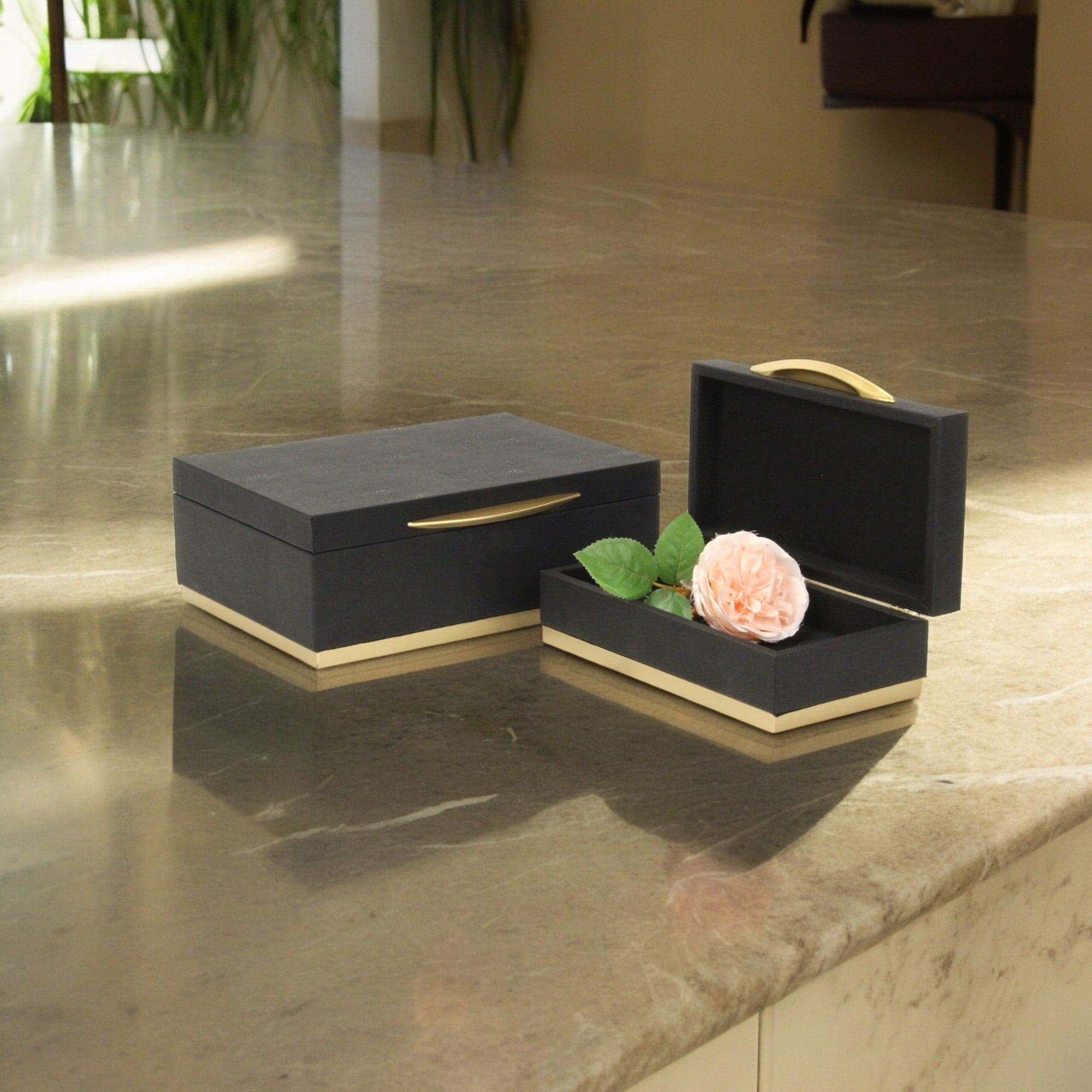 Option Black
