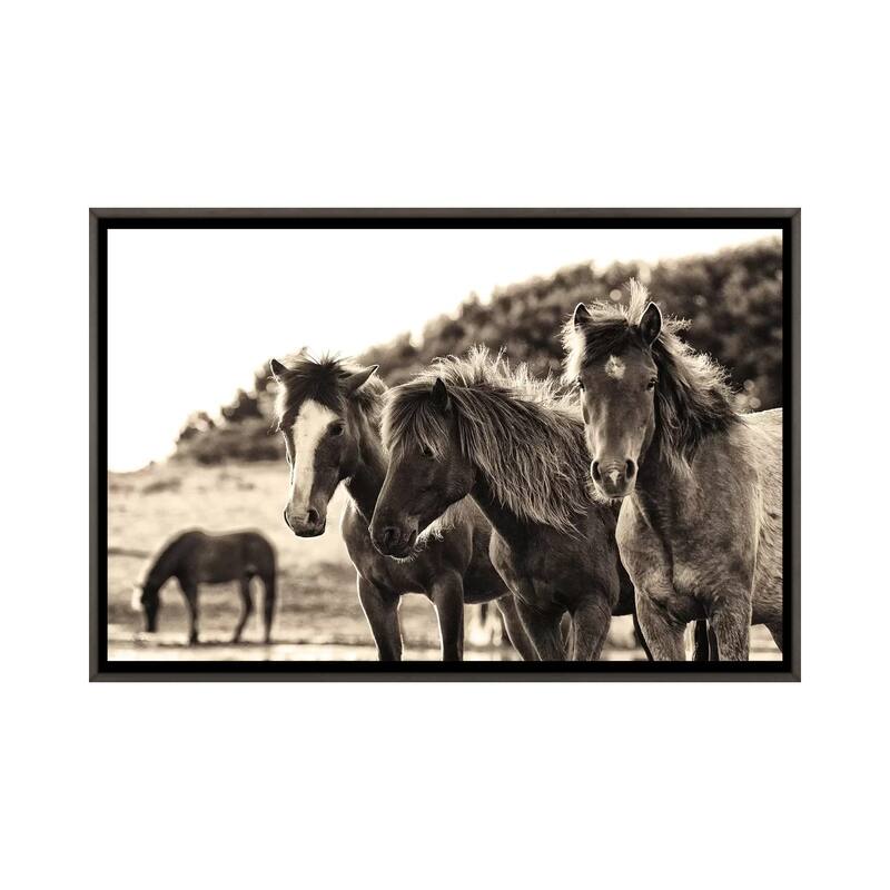 iCanvas "Horses Three Sepia" by Aledanda Framed - Charcoal - 32x48
