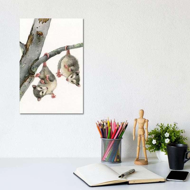 iCanvas "Playful Possums" by Tracy Lizotte Canvas Print - 12x8x0.75