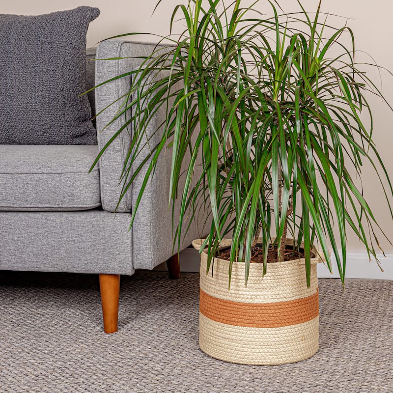 Household Essentials Handwoven Paper Rope Basket with Stripe and Handles