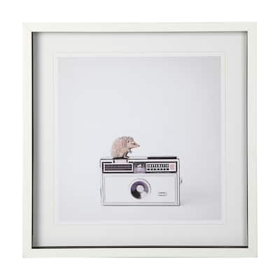Hedgehog & Vintage Camera Framed Art Print