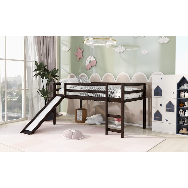 Loft Bed with Slide