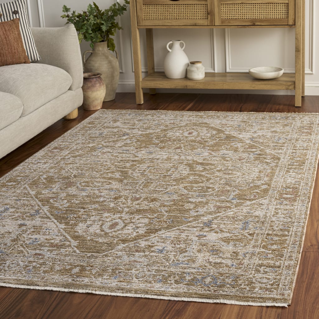 SAFAVIEH Whitney Ambira Bohemian & Eclectic Rug