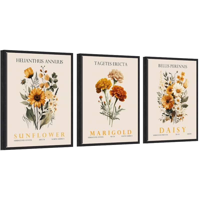 Amanti Art Vintage Sunflower Marigold and Daisy 3 Piece by Christopher Giampietro Framed Canvas Wall Art