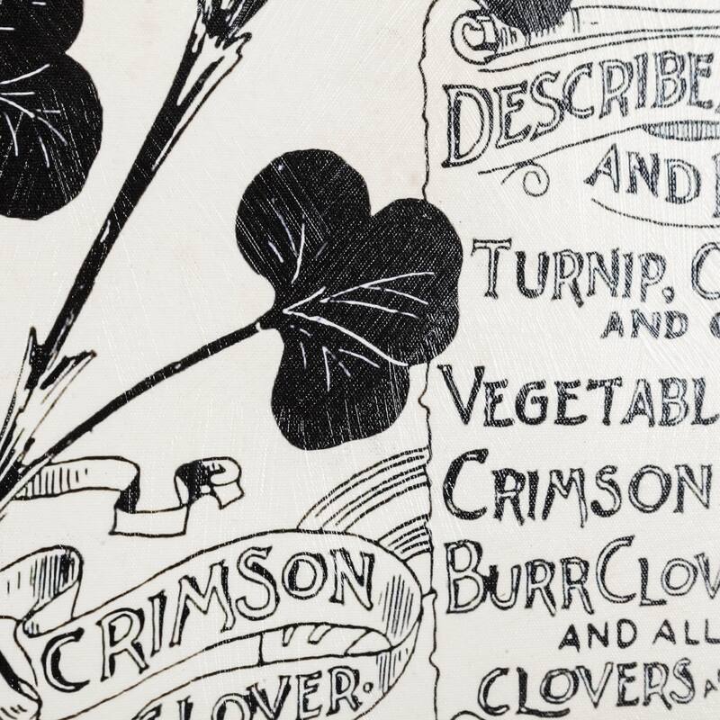 Antique Seed Packet XIV (30 x 40) Canvas Art Print