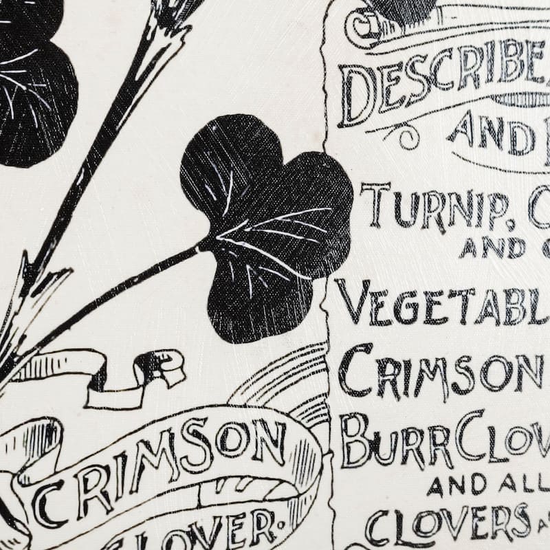 Antique Seed Packet XIV (40 x 55) Canvas Art Print