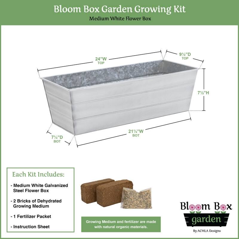 Achla Designs 24" W Medium Galvanized Steel Indoor Outdoor Bloom Box Garden Growing Kit, Garden Accent