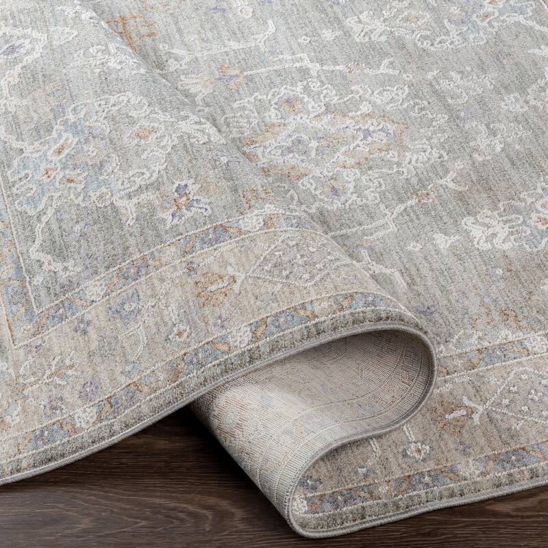 Hunza Updated Traditional Medallion Area Rug