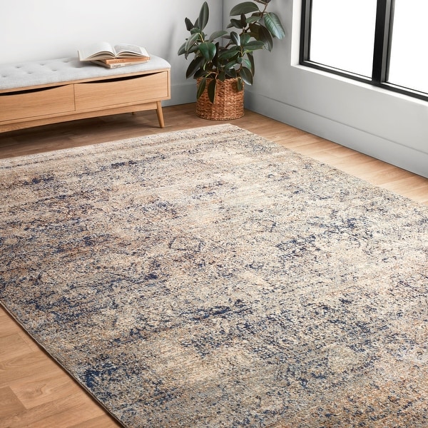 Traditional Mist/ Blue Distressed Rug - 9'6" x 13'
