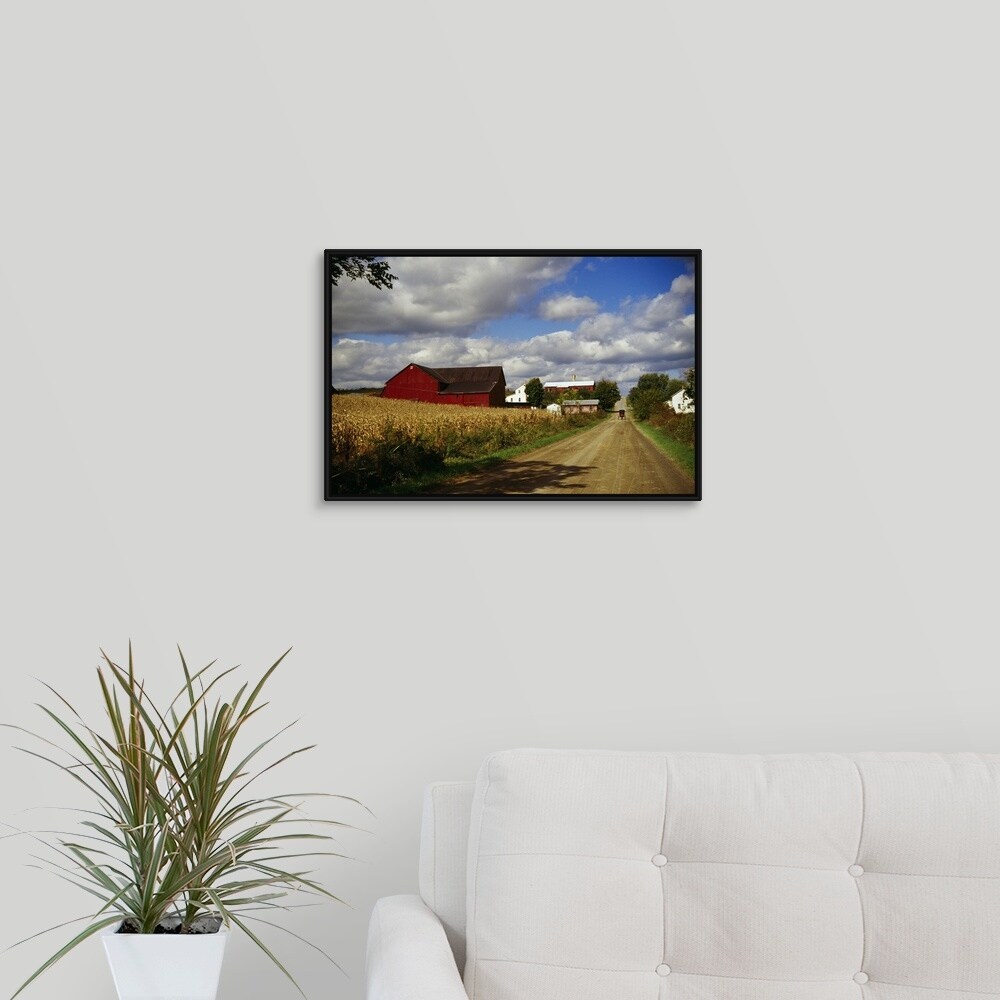 Shop Amish Farm Buildings And Corn Field Along Country Road Ohio