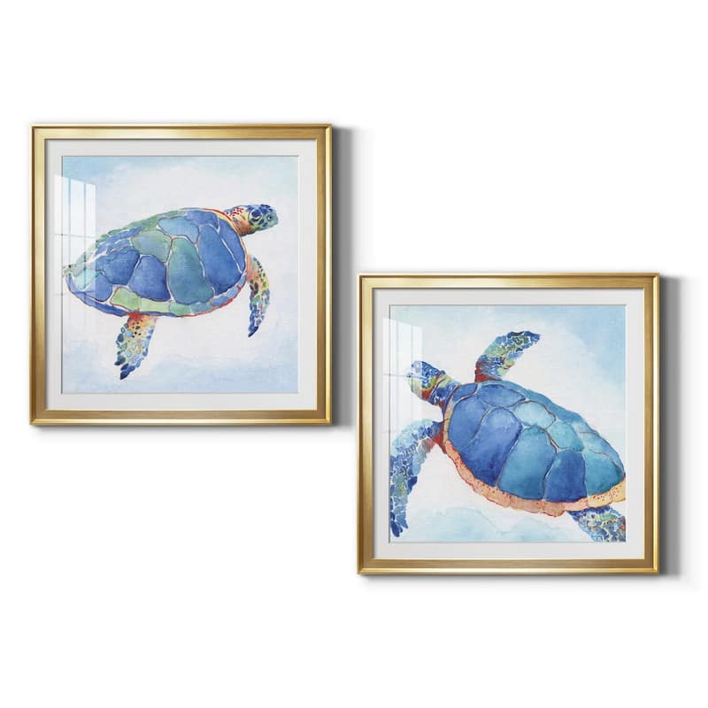 Galapagos Sea Turtle I Premium Framed Print - Ready to Hang