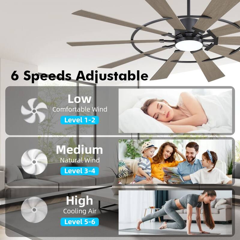 MLiAN Ceiling Fan with Lights Remote Control 6-Speed DC