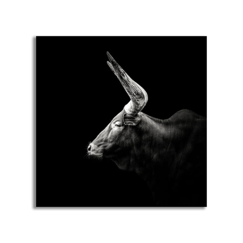 "Watusi" Framed Print Wall Art by Christian Meermann