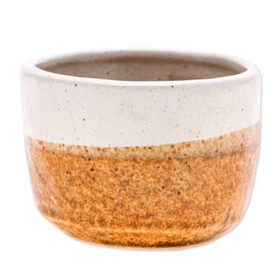Novica Handmade Brown Bud Ceramic Flower Pot