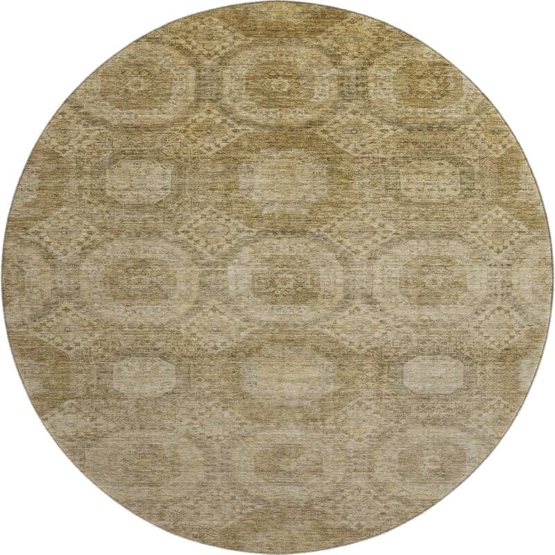 Premium Washable Super Soft Vintage Traditional Mayfield Rug