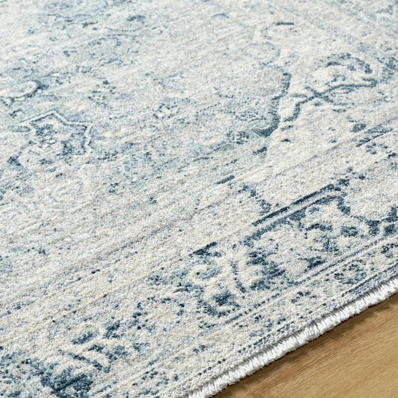 Dobbins Traditional Medallion Area Rug