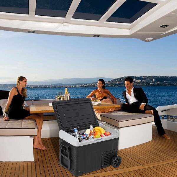 portable electric cooler refrigerator freezer