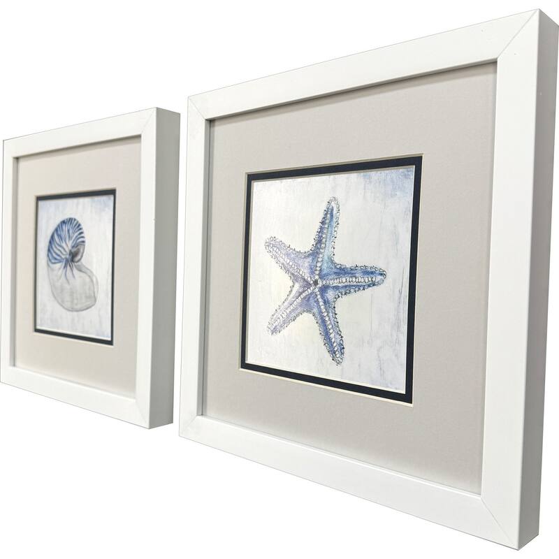 HomeRoots Set Of Two Azure Shell White Framed Wall Art