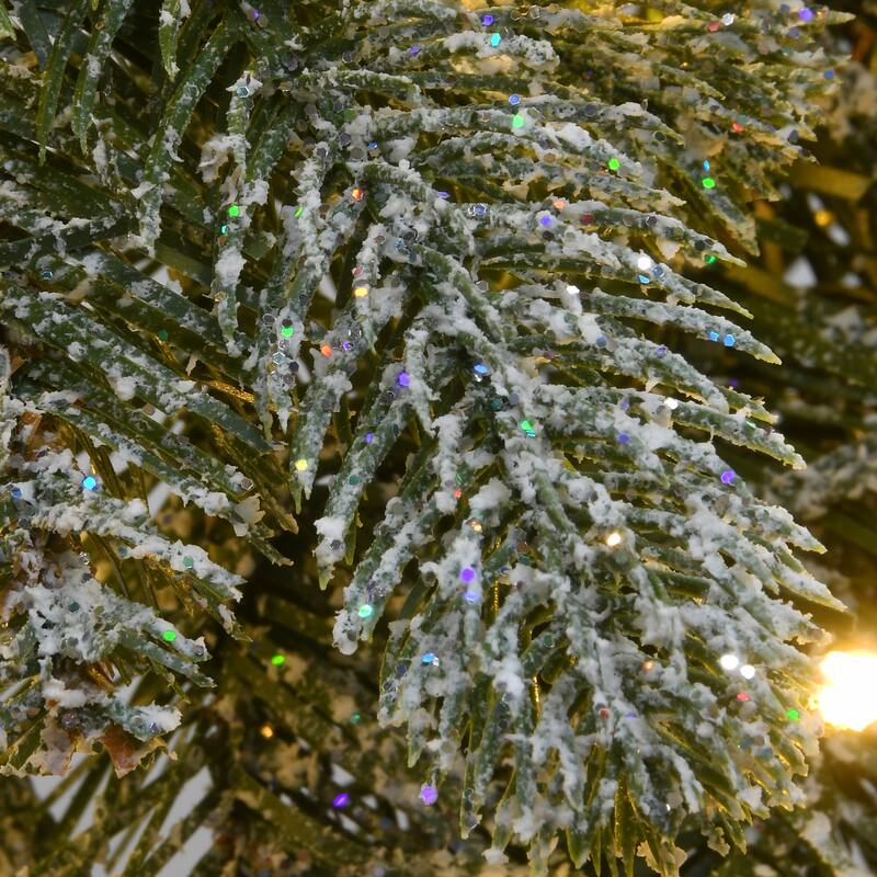 National Tree Company 2 ft. Snowy Morgan Spruce Wreath with Dual Color LED Cosmic Lights - 2 ft