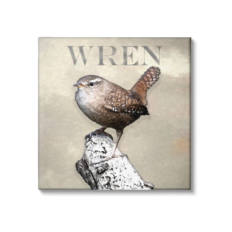Stupell Wren Bird Standing Casual Nature Breed Typography Canvas Wall Art, Design by Alpenglow Workshop - 24 x 24