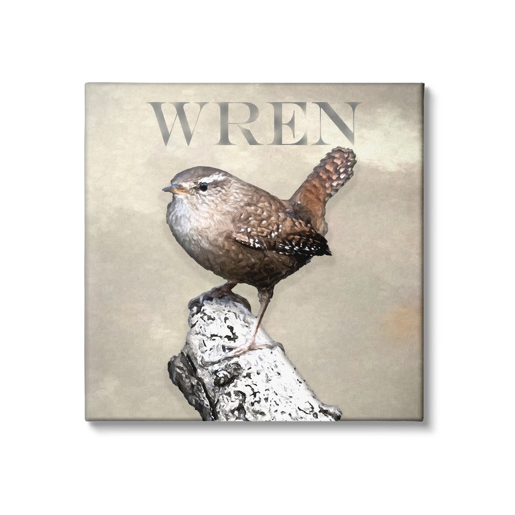 Stupell Wren Bird Standing Casual Nature Breed Typography Canvas Wall Art, Design by Alpenglow Workshop