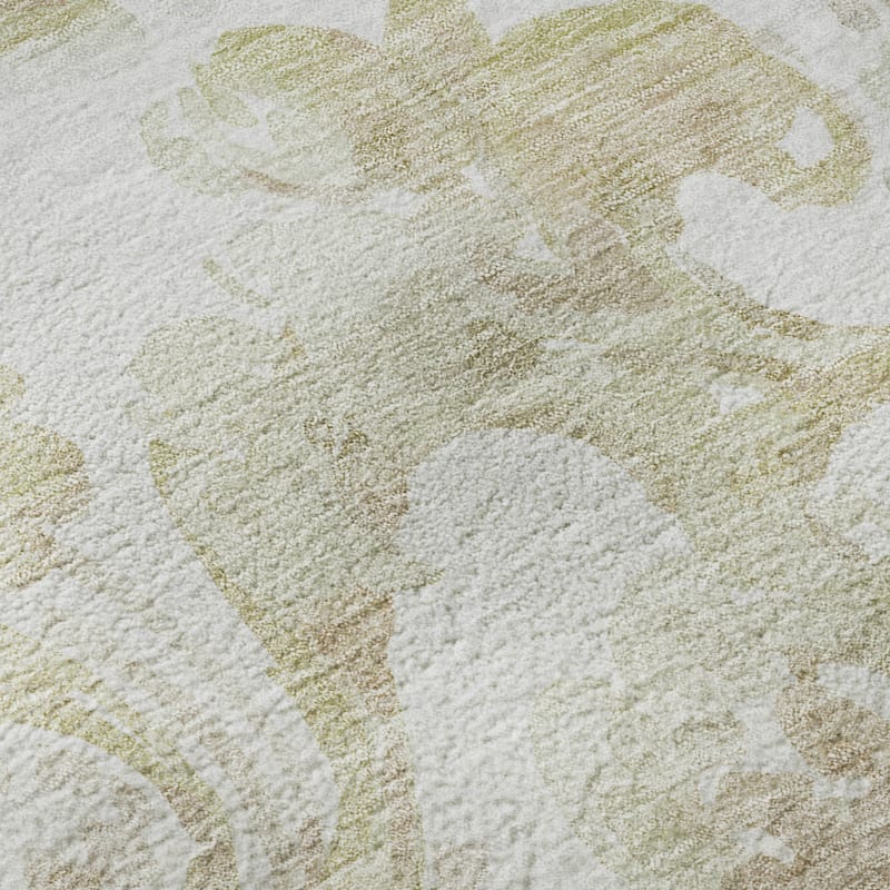 Premium Washable Super Soft Modern Paisley Mayfield Rug